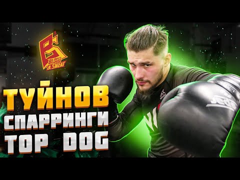 Видео: Туйнов показал класс на спаррингах в Top Dog / Влад Туйнов подготовка к бою с Павлом Шелестом