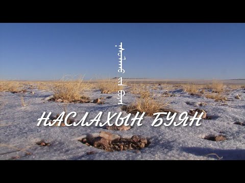 Видео: Наслахын буян