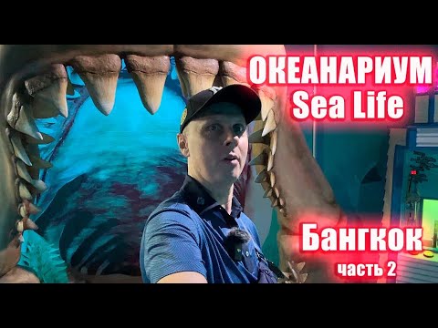 Видео: Бангкок. Океанариум Sea Life. Торговый центр Central World Plaza.