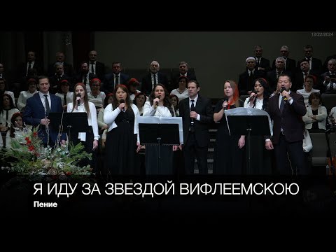 Видео: Я иду за звездой Вифлеемскою | Пение