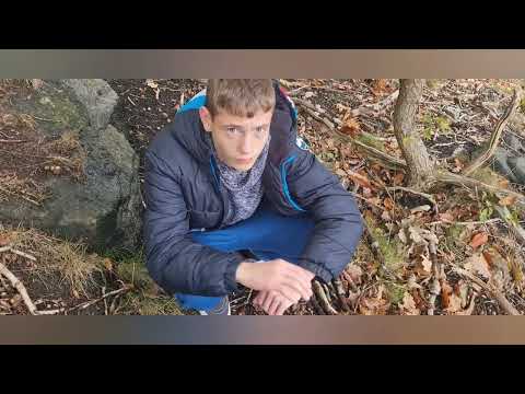 Видео: Английский лес всегда полон грибов. 🍄🍄