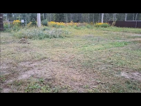 Видео: Болталка ни о чем и обо всем | Кошу траву | Обзор на китайский триммер 