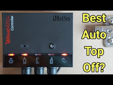 Видео: Долгосрочный обзор АТО+ в Красном море