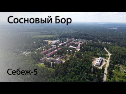 Видео: Поселок Сосновый Бор, Себеж-5 июль 2021 года