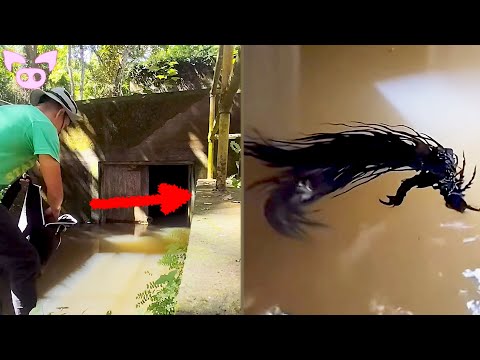 Видео: Это странные кадры, которые сейчас обсуждают в Интернете