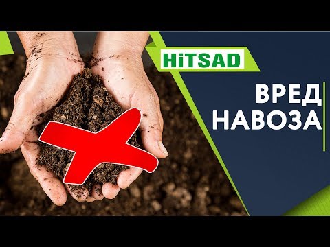 Видео: ЧЕМ ВРЕДЕН НАВОЗ ✔️ Польза и Вред от Навоза