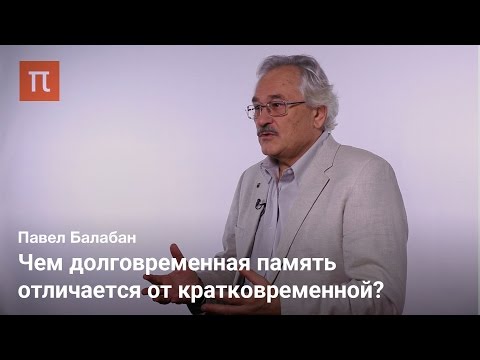 Видео: Стабильность и пластичность памяти - Павел Балабан