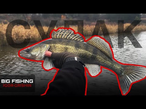 Видео: 🎣 ПОЛЮВАННЯ ЗА СУДАКАМИ З ЧОВНА | BIG FISHING  