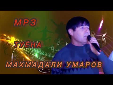 Видео: Махмадали умаров туëна  mahmadali umarov tuyona👈