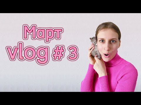 Видео: Распаковка с Aliexpress | Готовка| Уборка у крыс 😏