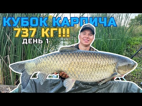 Видео: КЛЮЮТЬ ДУПЛЕТИ ОДИН ЗА ОДНИМ🙀 ВЕЛЕТНІ РВУТЬ СНАСТІ💥 КУБОК КАРПИЧА🏆 КОРОПОВА РИБОЛОВЛЯ 2023🎣