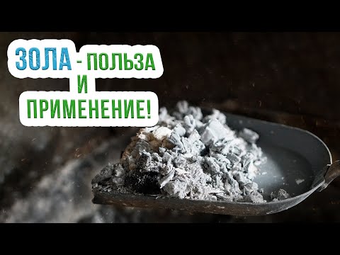 Видео: Использование золы в огороде. Древесная зола как удобрение и средство борьбы с вредителями