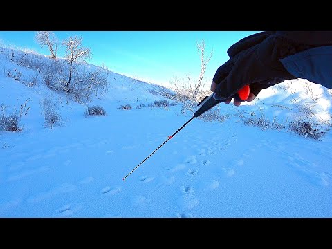 Видео: Поставил ПРОСТУЮ БЛЕСНУ на деревенском пруду и начал ловить окуня! Плотва на безмотылку Рыбалка 2021