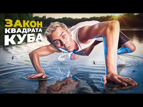 Видео: Какой ПРЕДЕЛ ВЫСОТЫ и РАЗМЕРОВ? Закон Квадрата-куба — ТОПЛЕС