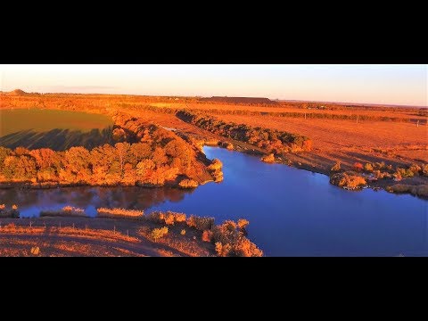 Видео: Проект "Аренда водоёма" 38 (ДР)