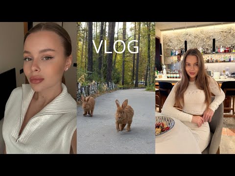 Видео: VLOG | бьюти процедуры BBL, распаковка золотого яблока , прогулка в лесу 