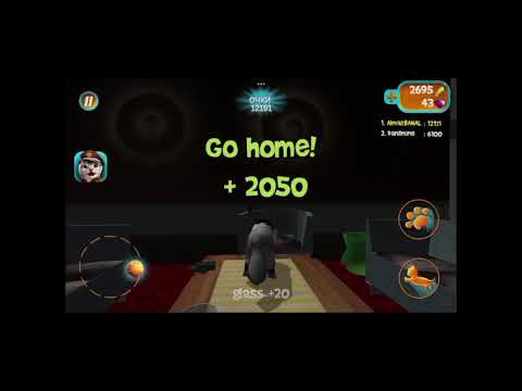 Видео: Играю с данилом в cat simulator