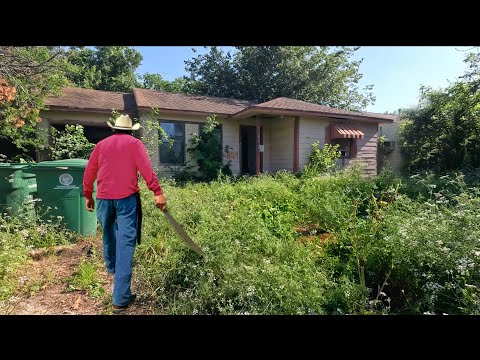 Видео: Казалось, это обычная уборка… Потом мы услышали крики изнутри.