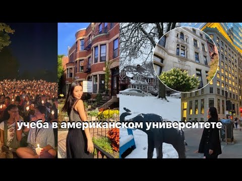 Видео: Жизнь студента в США: переехала одна в 18 лет, учеба, Бостон