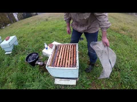 Видео: Пасека уходит в зимовку.