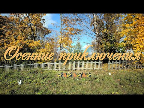 Видео: Осенние приключения🌲🚲