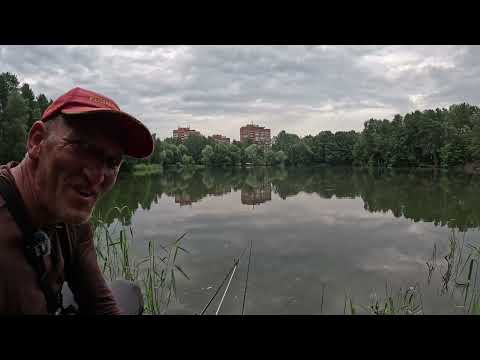 Видео: Наловил на Херабуну хороших карасей в лесном озере. Riga, Latvia.