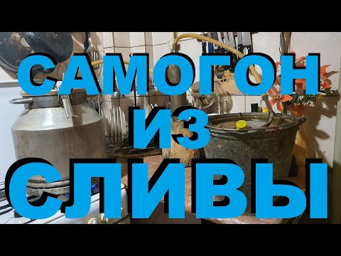 Видео: САМОГОН ИЗ СЛИВЫ В ДЕРЕВНЕ. ФЛЯГА. ВЕДРО. ЗМЕЕВИК. ВЕРЕВОЧКА. ПЛАСТИЛИН. РЕЦЕПТЫ СЮФ