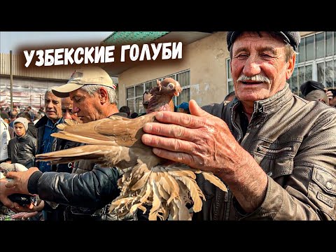 Видео: ТАШКЕНТ. ПТИЧИЙ РЫНОК.КАРАКАМЫШ. ЦЕНЫ НА ГОЛУБЕЙ. УЗБЕКСКИЕ ДЕКОРАТИВНЫЕ ГОЛУБИ.