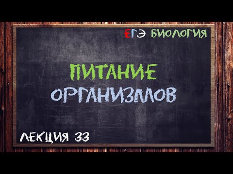 Видео: Л.33 | ПИТАНИЕ ОРГАНИЗМОВ | ОБЩАЯ БИОЛОГИЯ ЕГЭ