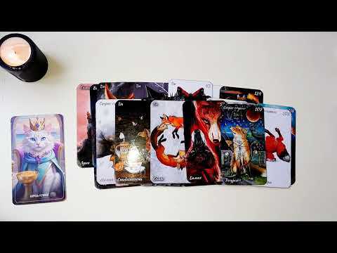 Видео: 🔥4 Короля ❤️ЧУВСТВА, МЫСЛИ, ДЕЙСТВИЯ