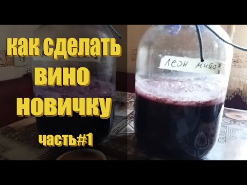 Видео: Домашнее вино из винограда Леон Мийо и Маршал Фош! / Как сделать вино? / ЧАСТЬ 1