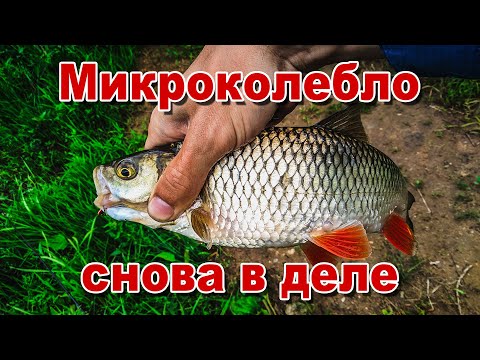 Видео: Спиннинг в начале лета | Ловля голавля и жереха на микроколебалки | Рыбалка на сломе погоды