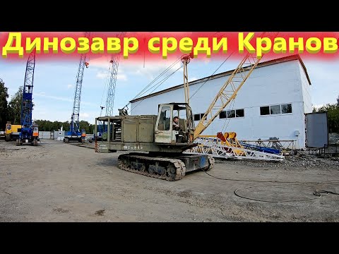 Видео: Гусеничный Кран с огромным ресурсом! Почему выбирают РДК 250?