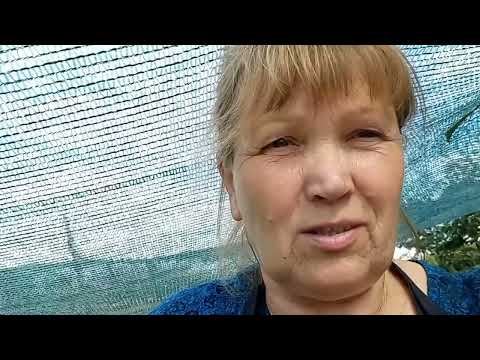 Видео: накрили п'яту теплицю