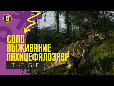 Видео: The Isle Evrima. Соло выживание за пахицефалозавра.