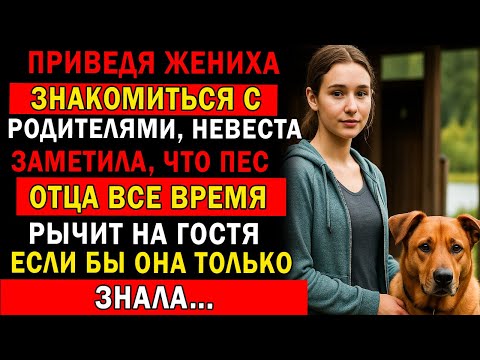 Видео: ПРИВЕДЯ ЖЕНИХА ЗНАКОМИТЬСЯ С РОДИТЕЛЯМИ, ЗАМЕТИЛА, ЧТО ПЕС ОТЦА РЫЧИТ НА ГОСТЯ… ЕСЛИ БЫ ОНА ЗНАЛА…