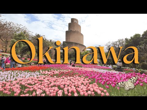Видео: Окинава 🏝️ Лучшие места для путешествий в Окинаве, Япония