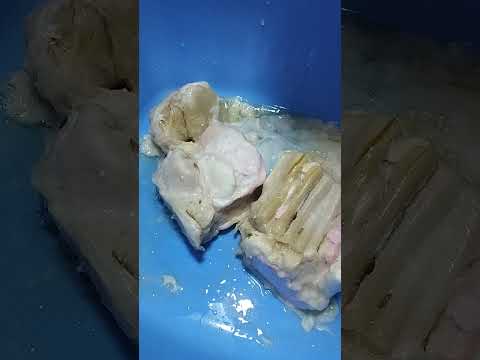 Видео: 2 июня 2024 г.