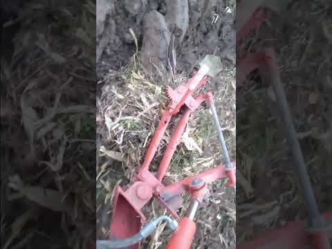 Видео: Оранка