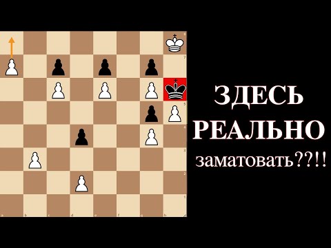 Видео: Почему все ошибаются в этой шахматной задаче? Ты тоже сделаешь этот ход? Проверь себя