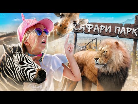 Видео: ЧУТЬ НЕ РАЗДАВИЛИ ЛЬВА!  САМЫЙ ЛУЧШИЙ В МИРЕ ЗООПАРК! САФАРИ! ЛЕВ ХОЧЕТ НАПАСТЬ НА МИЛАНУ!