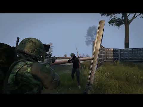 Видео: DAYZ. Сервер Тёмный лес. Что у вас здесь происходит?!
