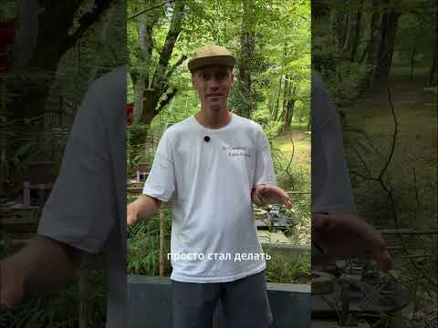 Видео: Интервью с чайным мастером, экскурсоводом и лесным гидом Алексеем Артамоновым