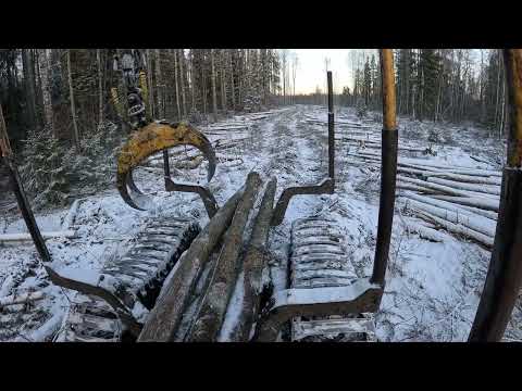 Видео: Трелёвка леса. Форвардер Valmet #лесозаготовка  #tractor
