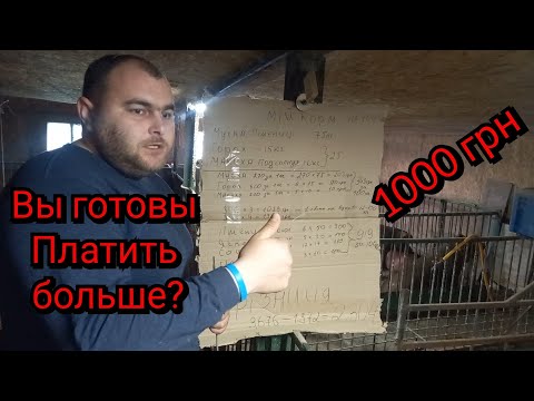 Видео: ⛔️Сколько нужно денег что бы выкормить 1 свинью до 120 кг❓️