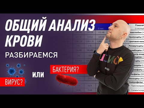Видео: Общий анализ крови. Разбираемся в показателях. Вирус или бактерия