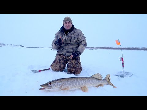 Видео: ШОК!  МЕШОК ЩУКИ ЗА НЕСКОЛЬКО МИНУТ. Рыбалка жерлицами и огромная плотва на чудесную приманку.