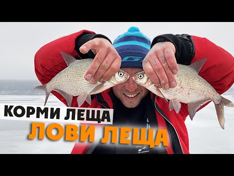 Видео: Ловля Леща Зимой на Водохранилище! Где найти и как ловить Леща на зимнюю снасть? Рыбалка со льда