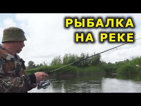 Видео: Рыбалка на реке.  Как отработают любимые силиконовые приманки на щуку и окуня на течении