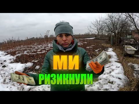 Видео: МИ РИЗИКНУЛИ‼️Прикидаємо дохід в 2024 році від бізнесу в селі. Вже можна замовити саджанці малини